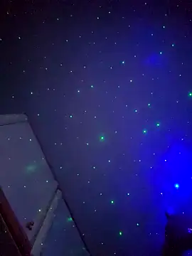 Snapshot of sofiabichota chatting on December 6, 11:52 pm sofiabichota online show from December 6, 11:52 pm