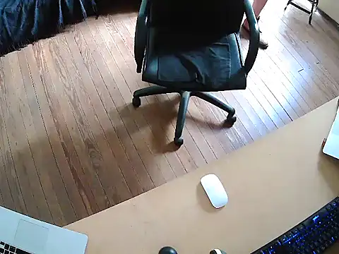 seoulsatxh online show from November 17, 6:23 pm