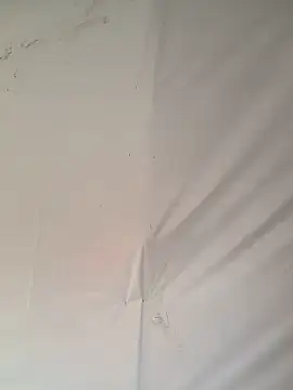 Ebony nasty girl online show from February 13, 7:30 am