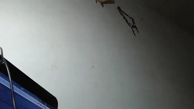 adrixxx38 online show from March 5, 12:18 am