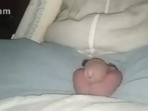 Snapshot of Bigdick666cm chatting on February 2, 3:54 am Bigdick666cm online show from February 2, 3:54 am