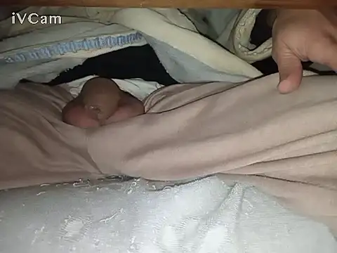 Snapshot of Bigdick666cm chatting on February 6, 2:44 am Bigdick666cm online show from February 6, 2:44 am