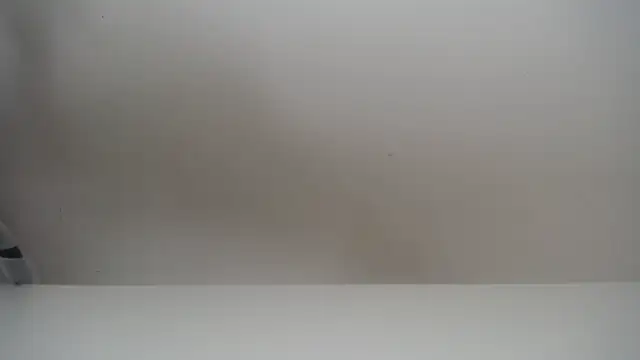 salomecastro  online show from November 19, 6:30 pm