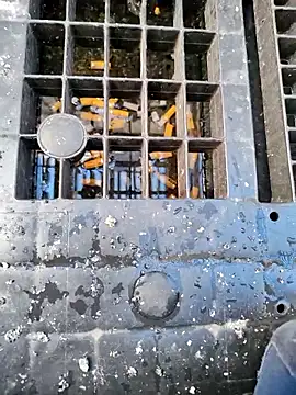 Ethangay online show from March 31, 6:48 am