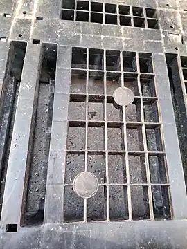 Ethangay online show from April 10, 6:20 am