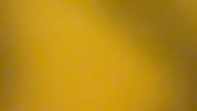 fmodel online show from January 3, 3:44 pm