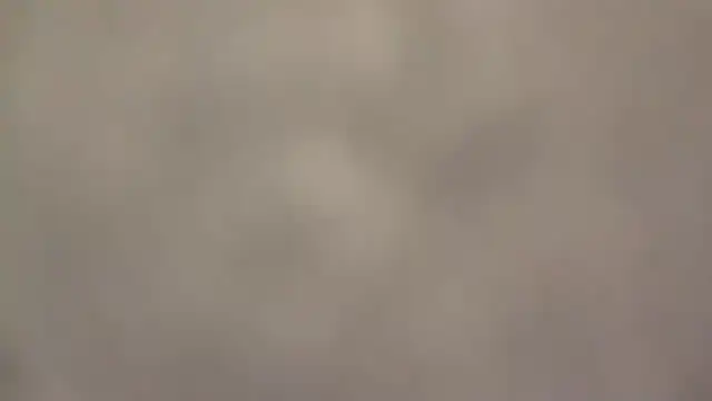 fmodel online show from September 15, 2:06 pm