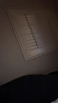 Snapshot of pussyaddict21 chatting on January 8, 5:59 am pussyaddict21 online show from January 8, 5:59 am