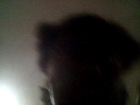 blasphemous online show from February 7, 9:47 am