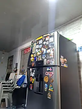 linda-schmidt online show from January 10, 6:47 pm