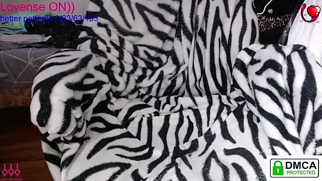 sweet cute cat online show from February 8, 11:08 am