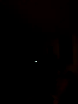 tropikboy online show from November 7, 9:58 am