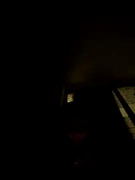 tropikboy online show from November 8, 12:47 am