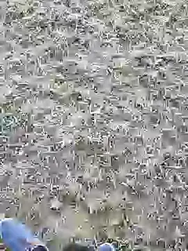 mister-dwt online show from March 5, 9:38 am