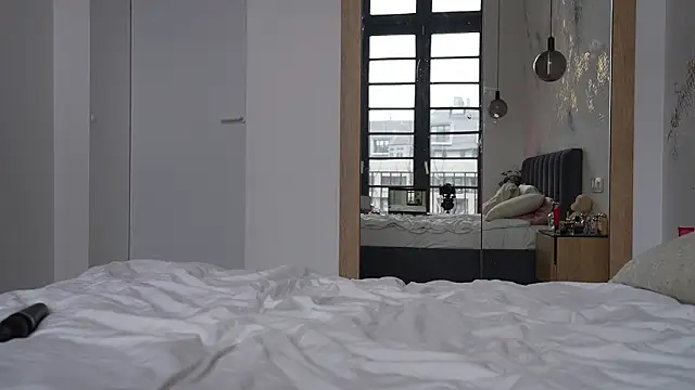 ibiddi online show from February 14, 10:59 am