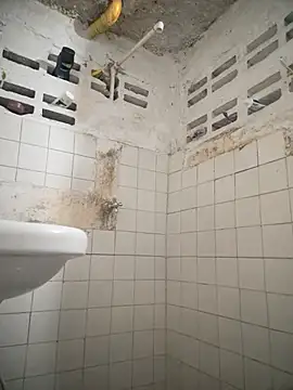 Carrington- online show from March 3, 5:42 pm