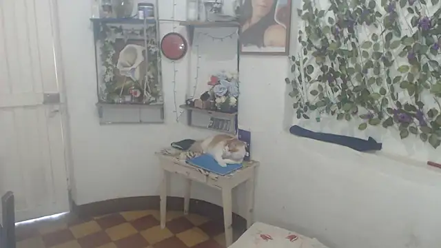 FunnyGrandma online show from February 11, 9:58 pm