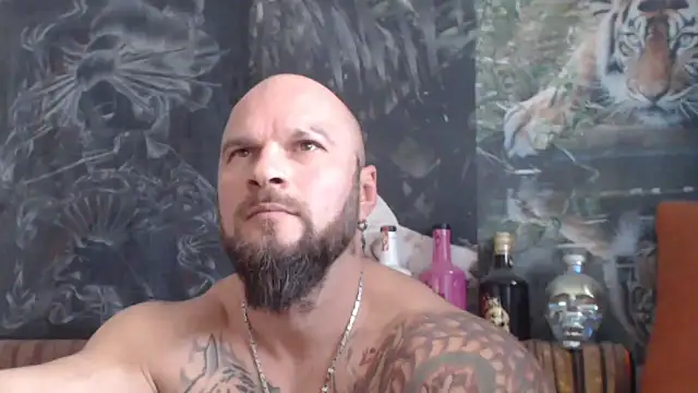 viking 30 online show from November 6, 8:29 am