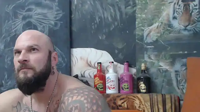 viking 30 online show from December 1, 1:45 pm