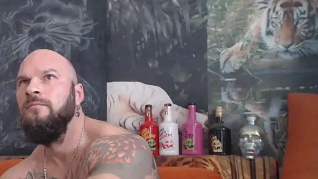 viking 30 online show from October 28, 11:09 am