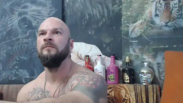viking 30 online show from October 4, 2:51 pm