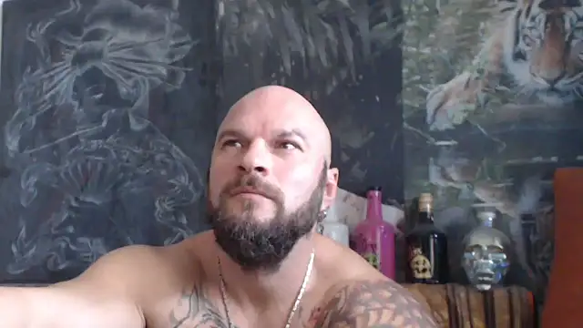 viking 30 online show from October 24, 6:56 am