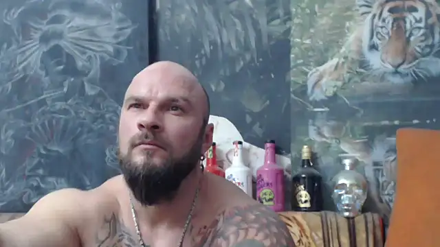 viking 30 online show from November 14, 8:01 pm