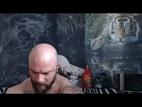 viking 30 online show from April 22, 6:20 am