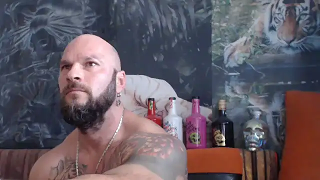 viking 30 online show from September 17, 10:17 am