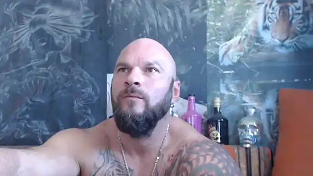 viking 30 online show from September 16, 6:47 am
