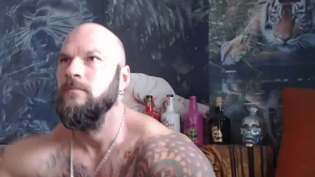 viking 30 online show from October 2, 9:23 am
