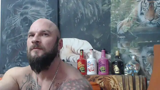 viking 30 online show from December 3, 4:06 pm