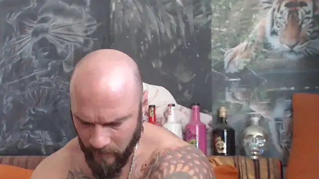 viking 30 online show from October 31, 8:11 am