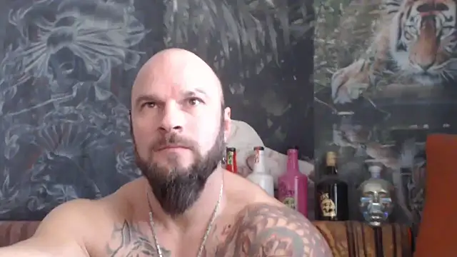 viking 30 online show from November 26, 7:41 am