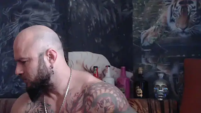 viking 30 online show from November 12, 11:03 am