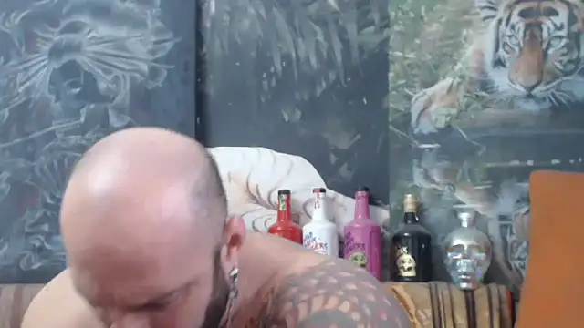 viking 30 online show from November 16, 7:24 am