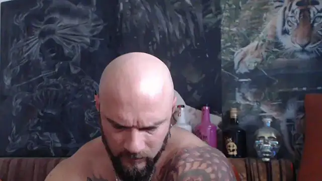 viking 30 online show from November 9, 7:56 am