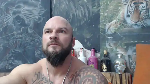 viking 30 online show from November 19, 7:03 pm