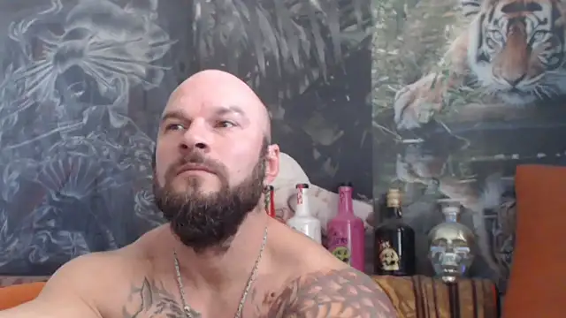 viking 30 online show from October 30, 7:06 am