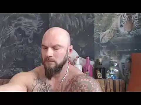 viking 30 online show from December 16, 11:03 am