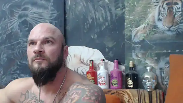 viking 30 online show from November 22, 6:51 pm