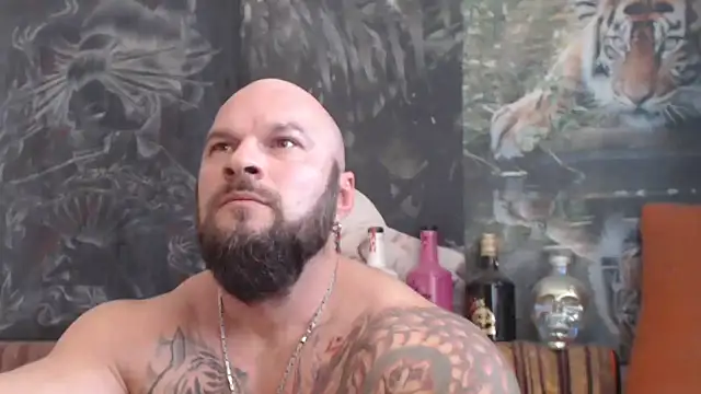 viking 30 online show from November 2, 10:31 am