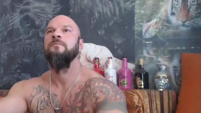 viking 30 online show from September 23, 10:33 am