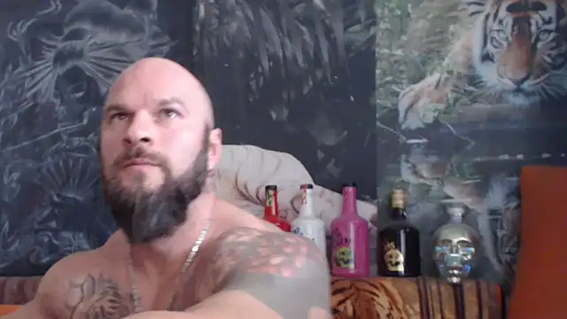 viking 30 online show from November 4, 8:07 am