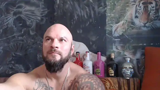 viking 30 online show from November 18, 7:44 am