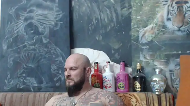 viking 30 online show from November 9, 8:02 pm