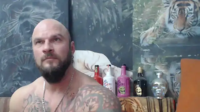 viking 30 online show from November 15, 7:18 pm