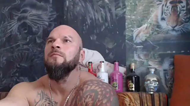 viking 30 online show from November 5, 8:17 am