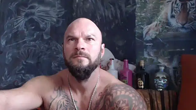 viking 30 online show from October 8, 10:17 am
