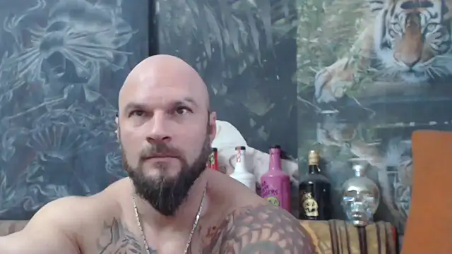 viking 30 online show from November 11, 7:36 am